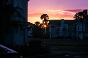 golden hour in florida with palm trees